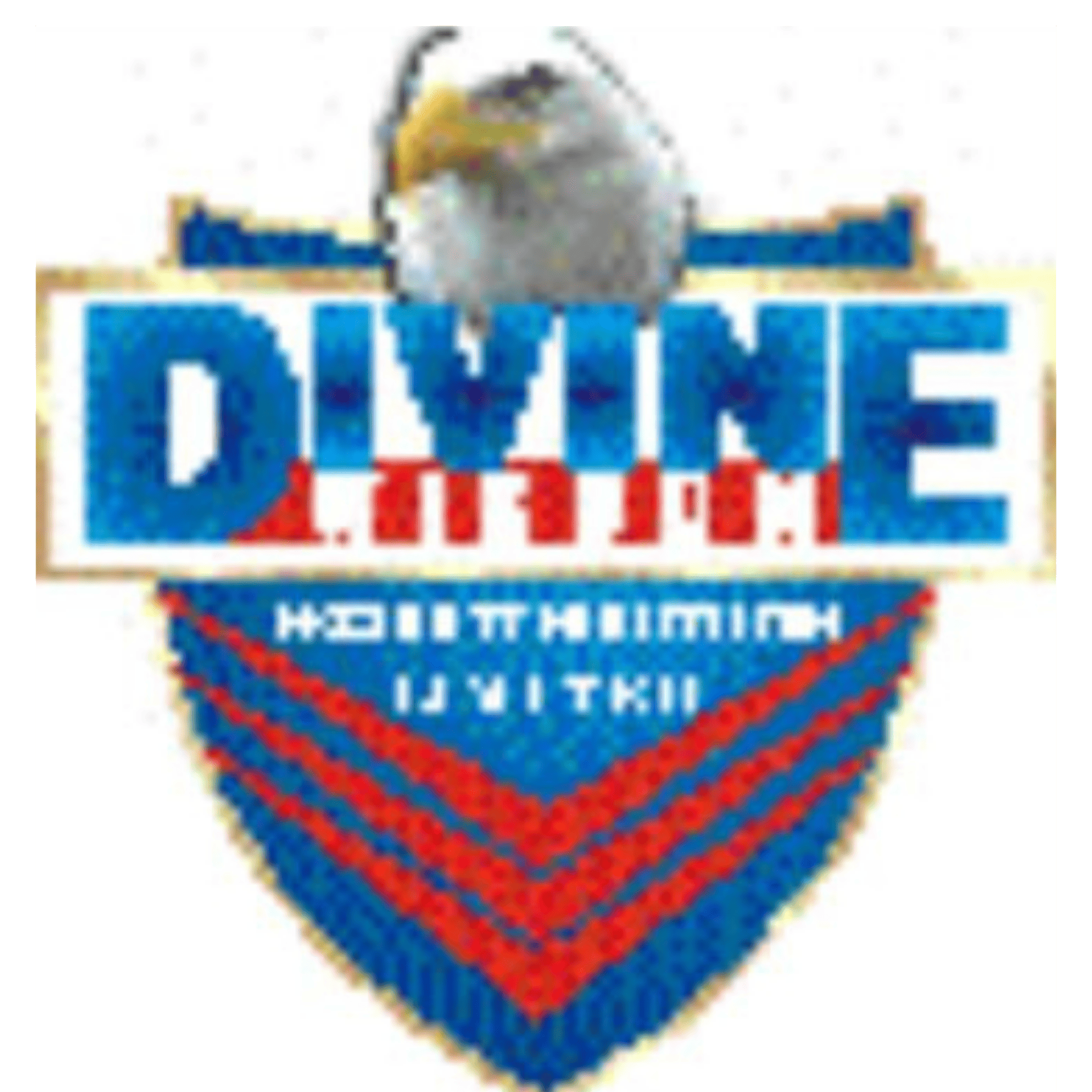 Divine Wisdom Logo